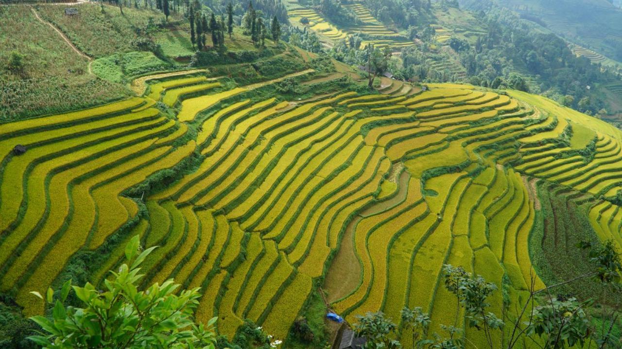 Huy Trung Homestay Bac Ha  Exteriér fotografie